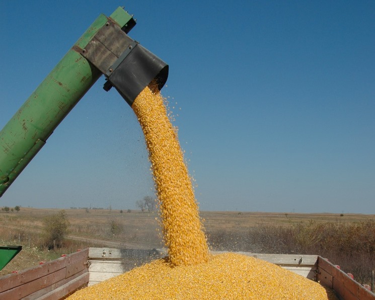ООН опасается резкого роста цен на продовольствие и голода из-за событий на Украине — Агроинвестор