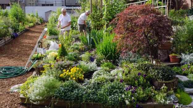 Gartenarbeit könnte das Hobby sein, mit dem du bis zu 100 Jahre alt werden kannst - ☼ ✿ ☺ Bewusst-Vegan-Froh ☺ ✿ ☼