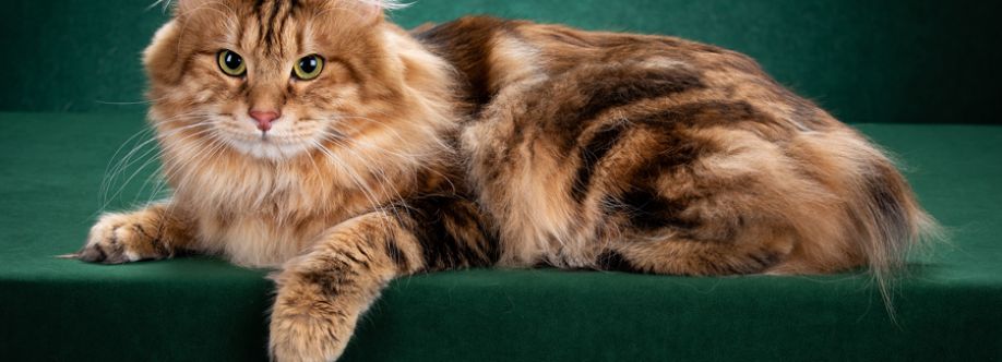 Katzenfreunde